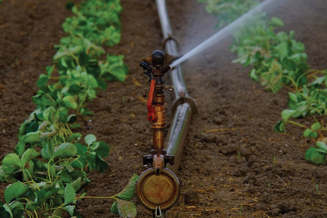 sprinkler services US California Sprinkler work