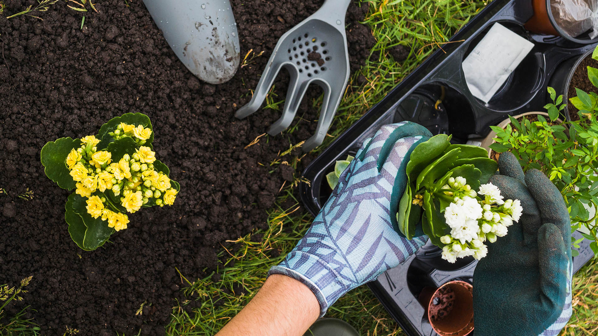 landscaping